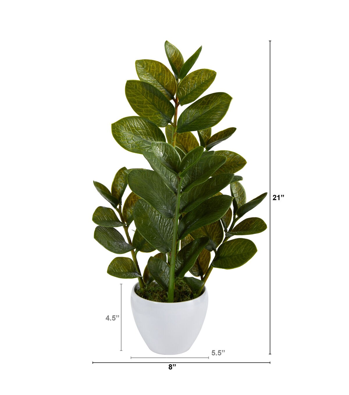 Nearly Natural 22in. Zamioculcas Artificial Plant in White Planter