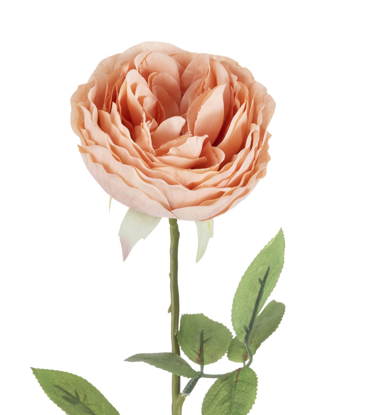 26.5 Peach Garden Rose Stem by Bloom Room