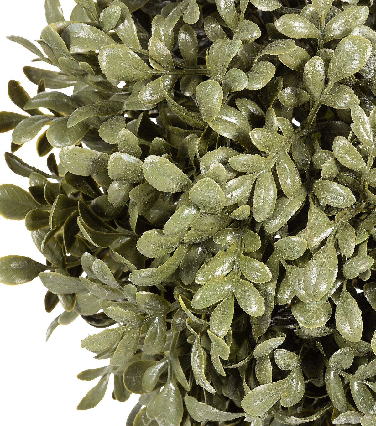 9 Boxwood Ball by Bloom Room