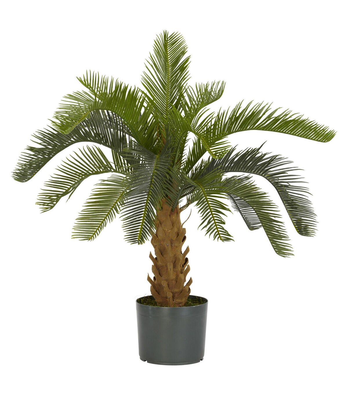 Nearly Natural 28 Cycas Silk Plant