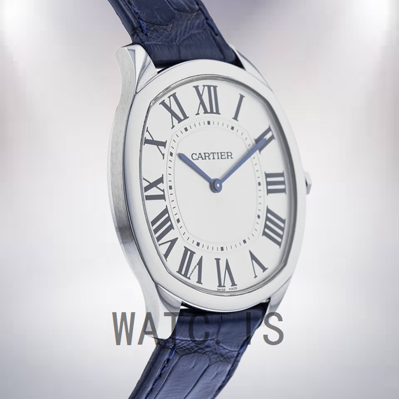 Cartier Drive 41mm WSNM0011 Men's Leather Strap