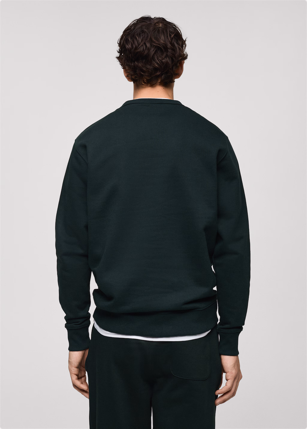 Regular-fit cotton sweatshirt - Medium Brown