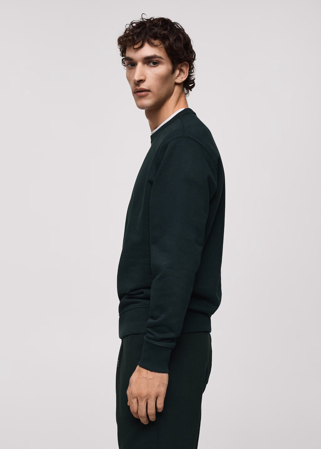 Regular-fit cotton sweatshirt - Medium Brown