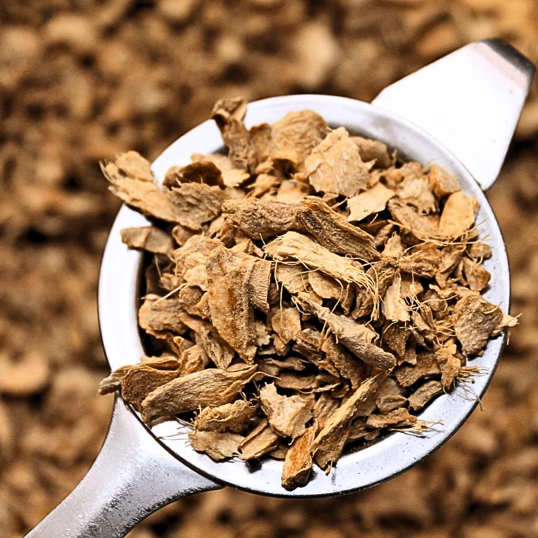 Ginger Root - Organic Herb
