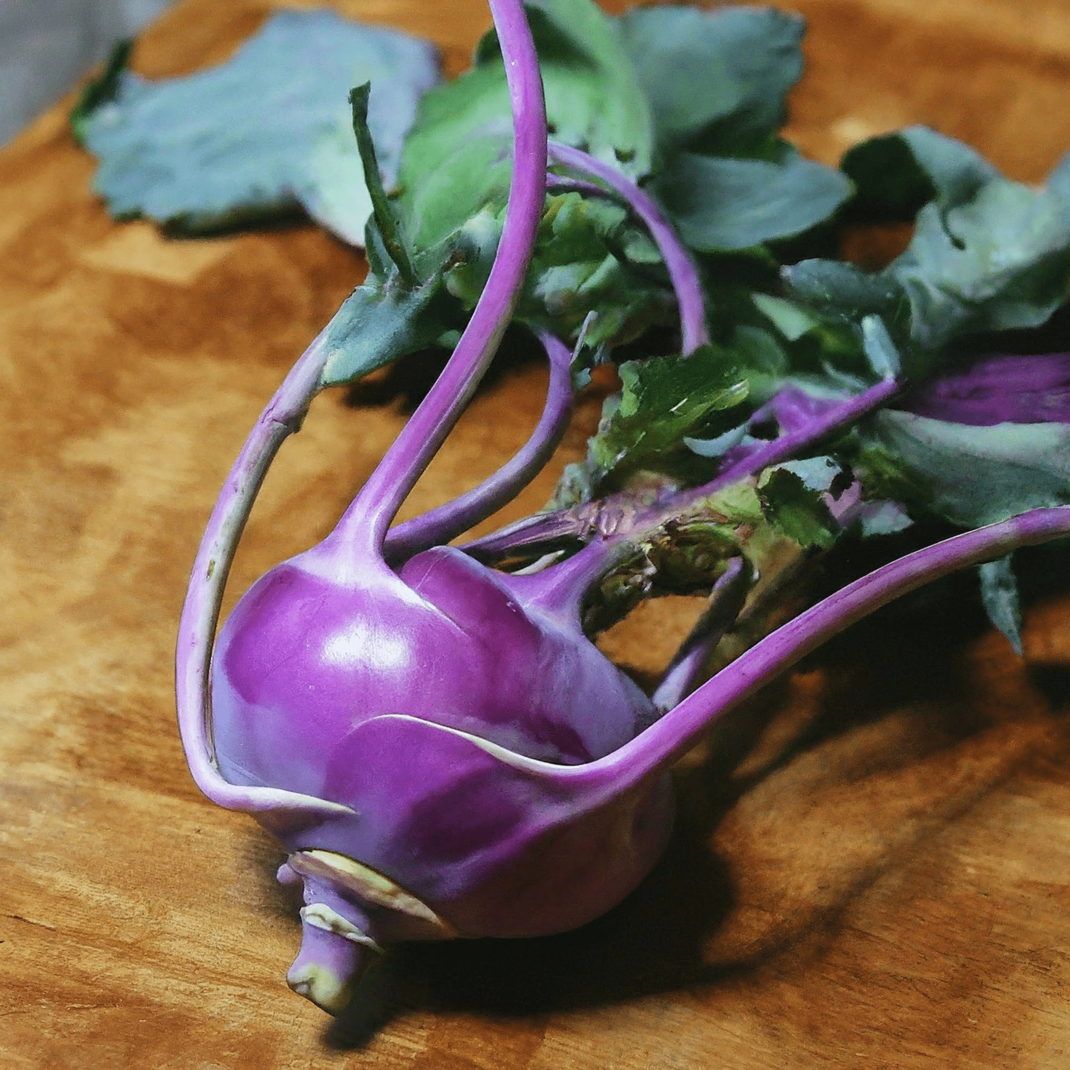 Kohl Rabi Purple Vienna