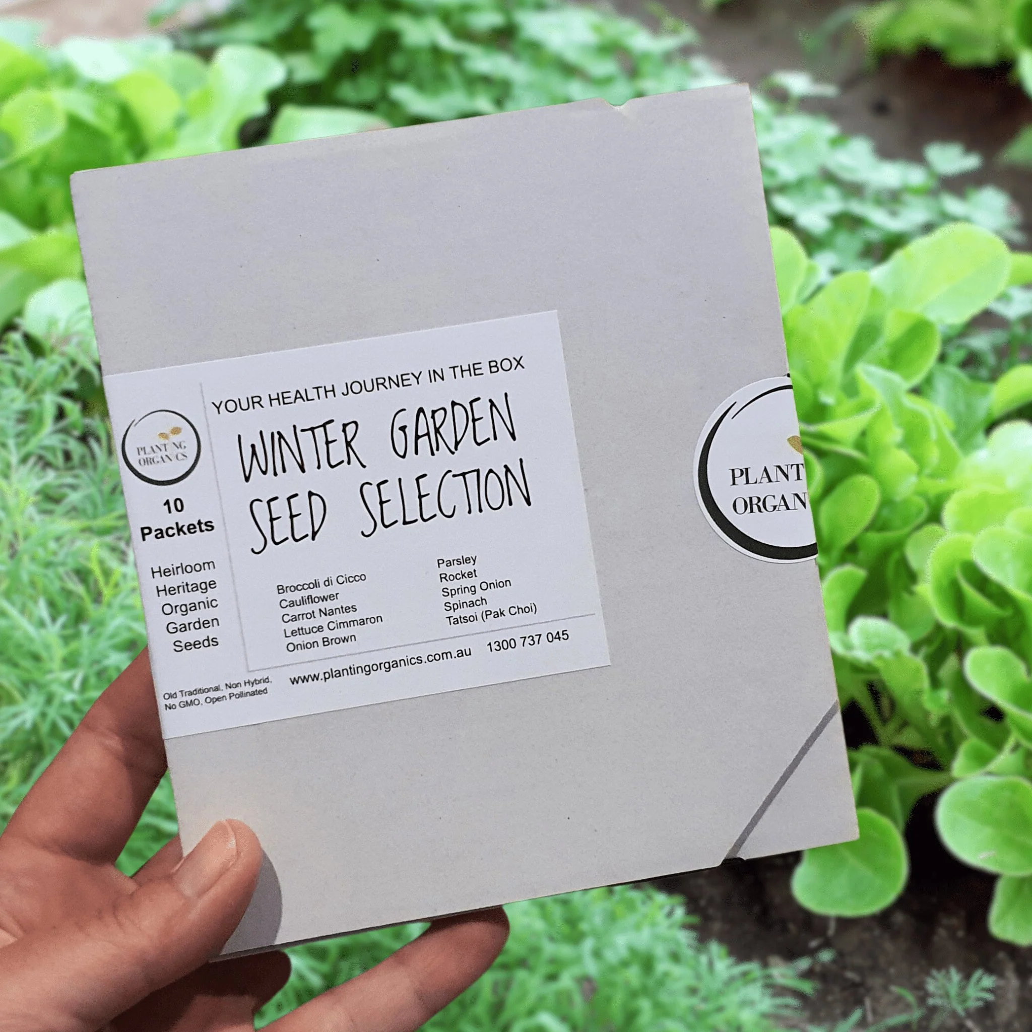 Winter Garden Seed Selection