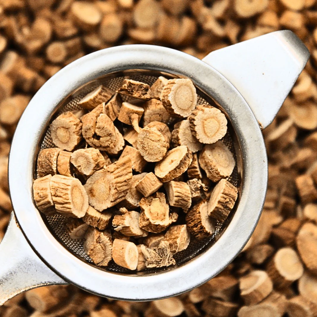 Astragalus Root - Organic Herb