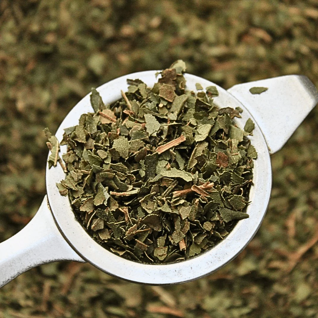 Lemon Myrtle - Organic Herb