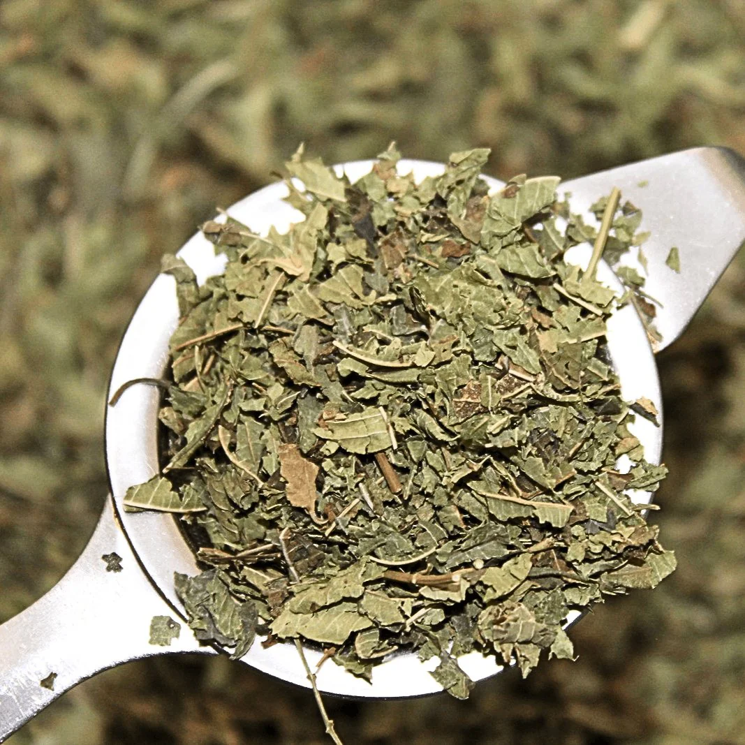 Lemon Verbena - Organic Herb