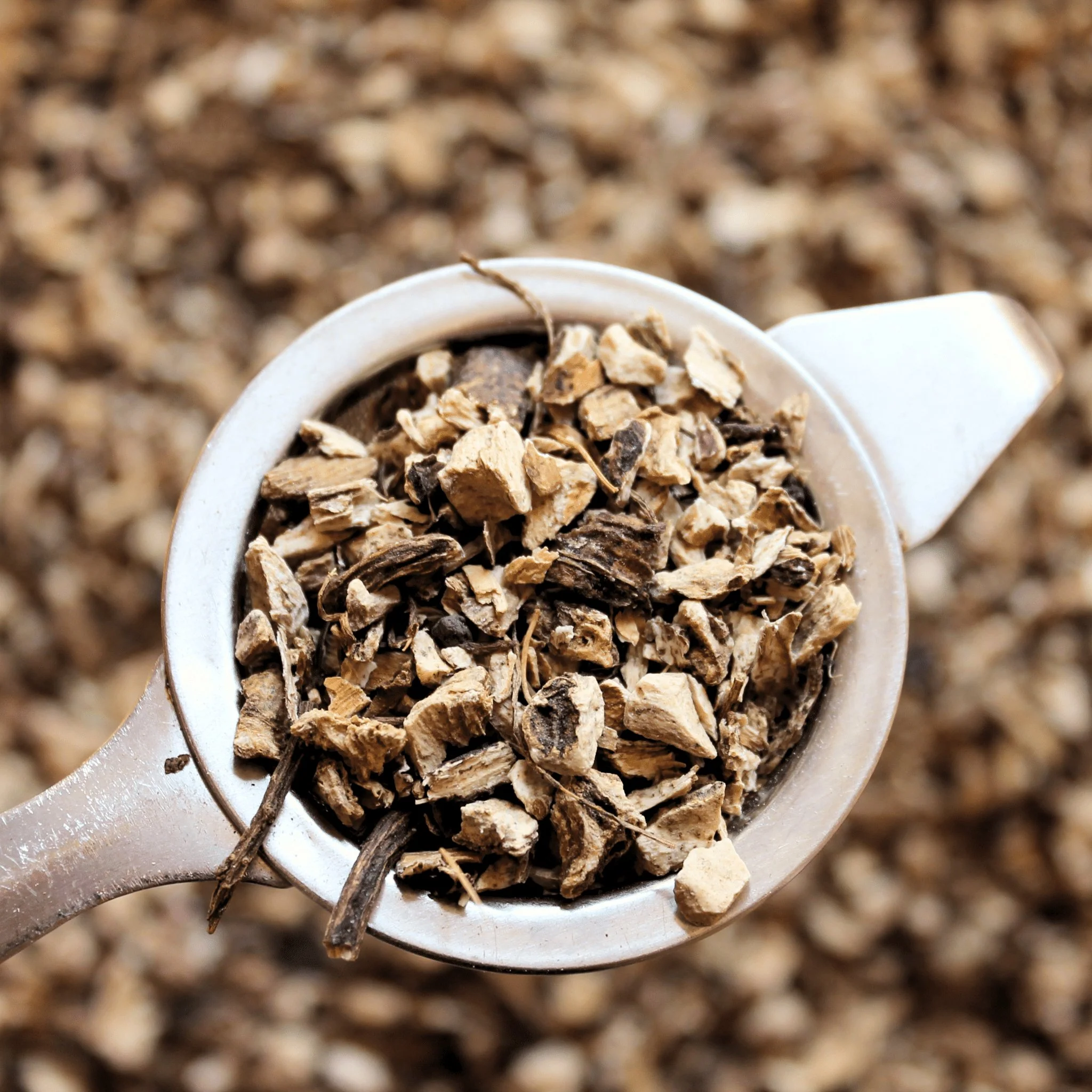 Elecampane Root - Organic Herb