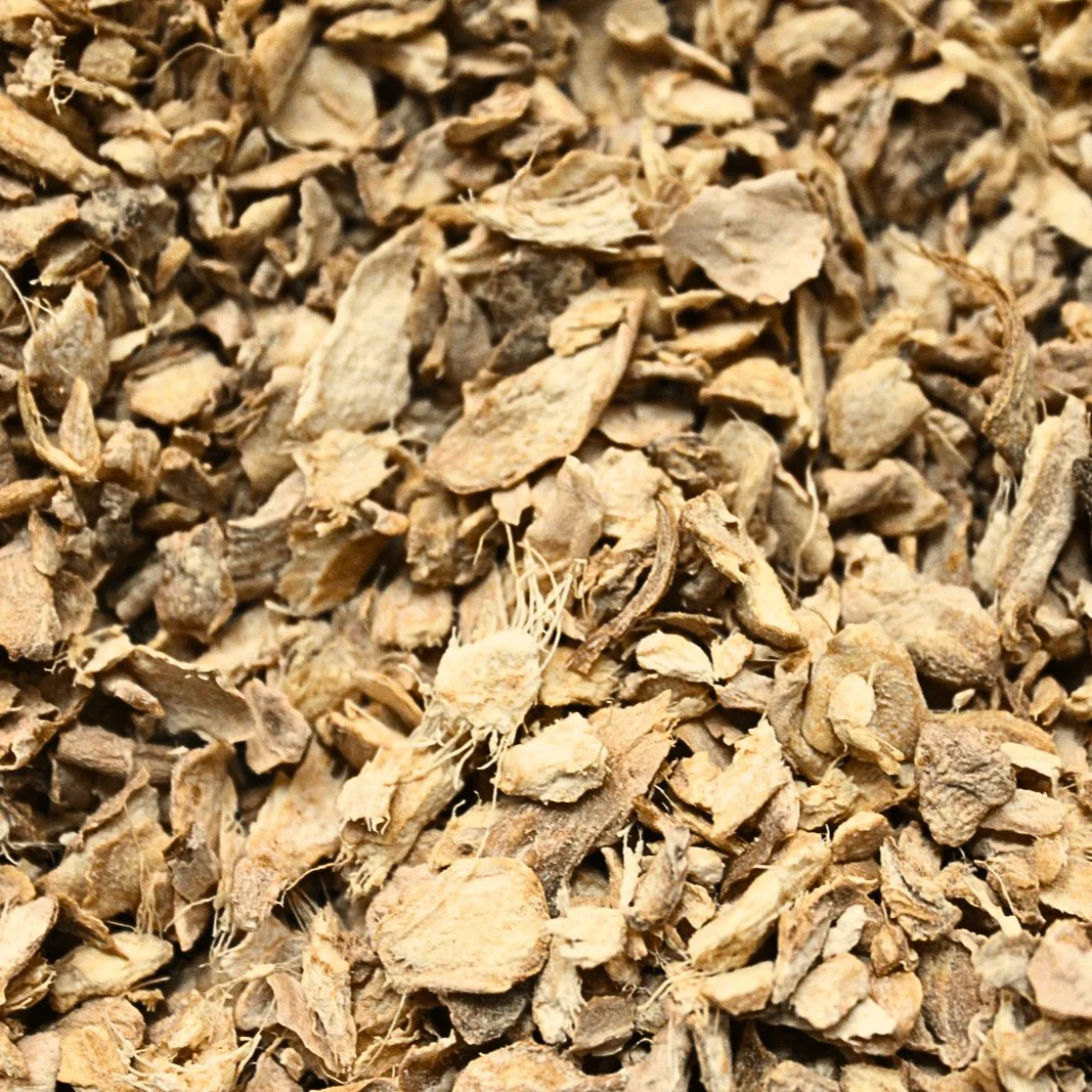 Ginger Root - Organic Herb