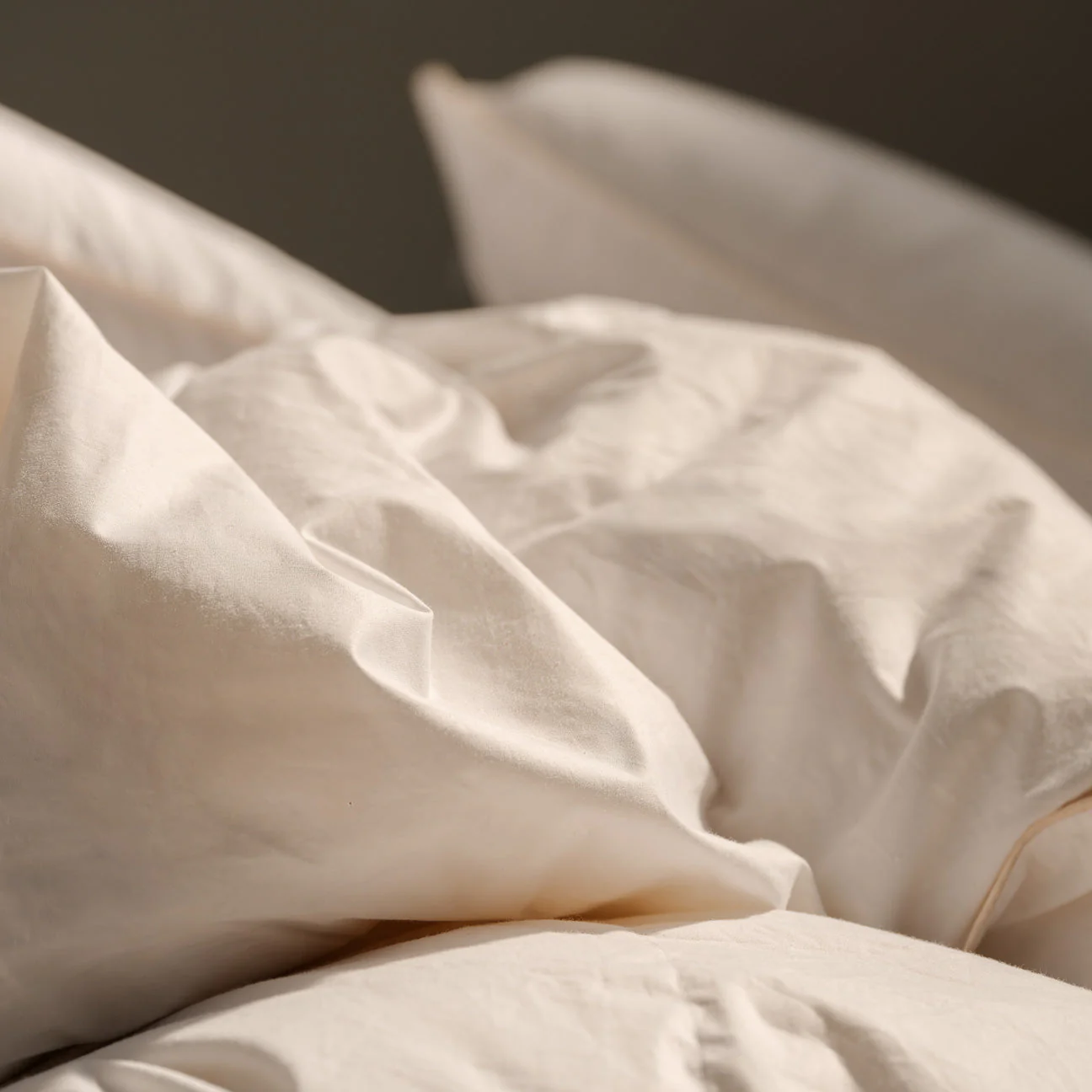 Bettdecke und Kopfkissen Set