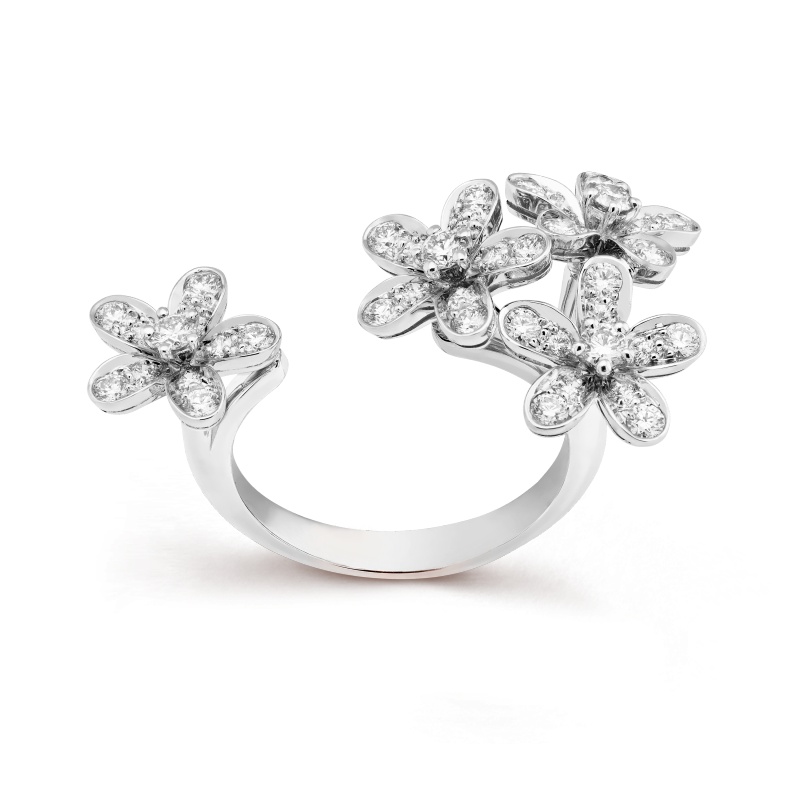 Replicate Socrate Between the Finger ring(1:1 replica)