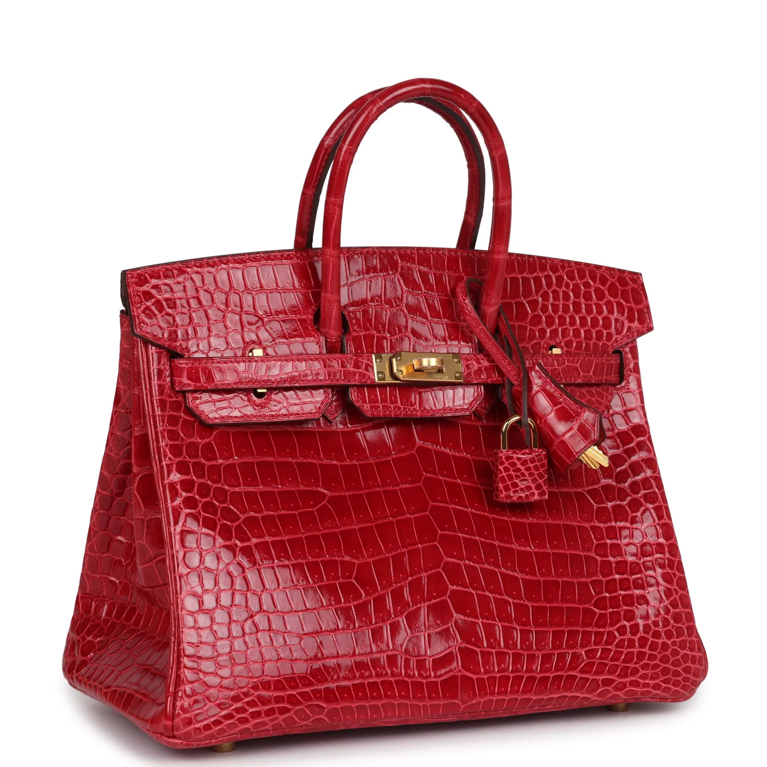 Replicate Hermes Birkin 25 Braise Shiny Porosus Crocodile Gold Hardware(1:1 replica)