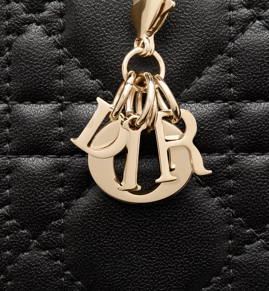 Replicate Small Lady Dior Voyageur Coin Purse(1:1 replica)