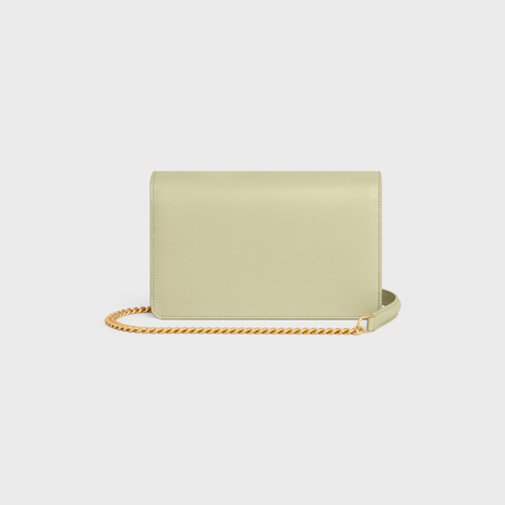 Replicate WALLET ON CHAIN MARGO IN SHINY CALFSKIN ALMOND GREEN(1:1 replica)