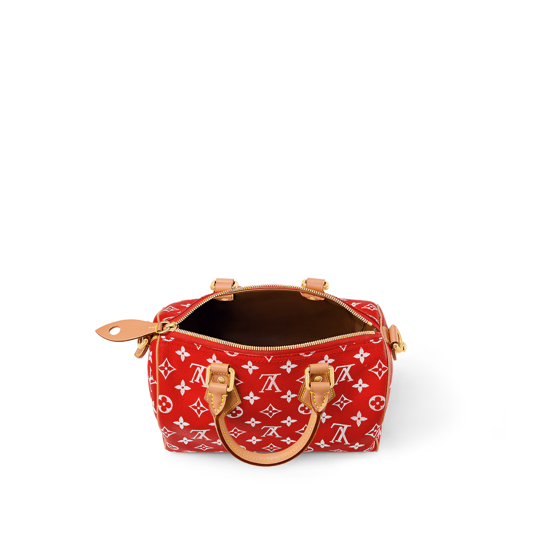 Replicate Louis Vuitton Speedy P9 Bandoulière 25 M24425   (1:1 replica)