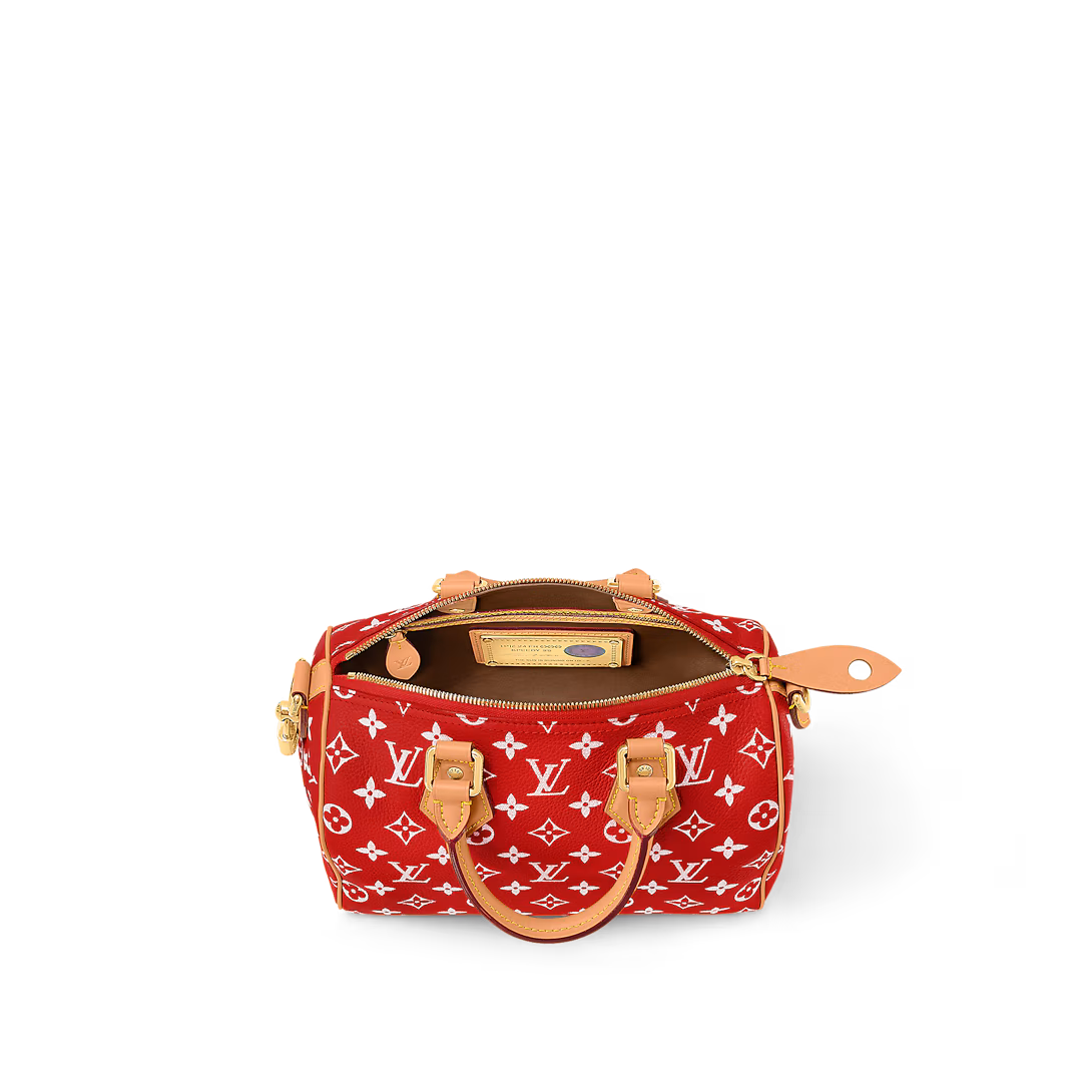 Replicate Louis Vuitton Speedy P9 Bandoulière 25 M24425   (1:1 replica)