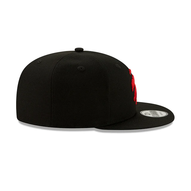 Toronto Raptors Basic 9FIFTY Snapback Hat