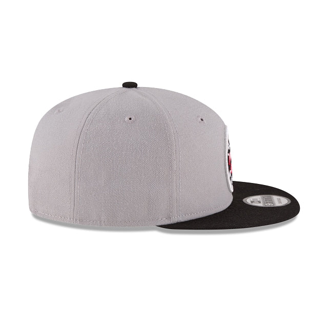 Toronto Raptors Two Tone 9FIFTY Snapback Hat