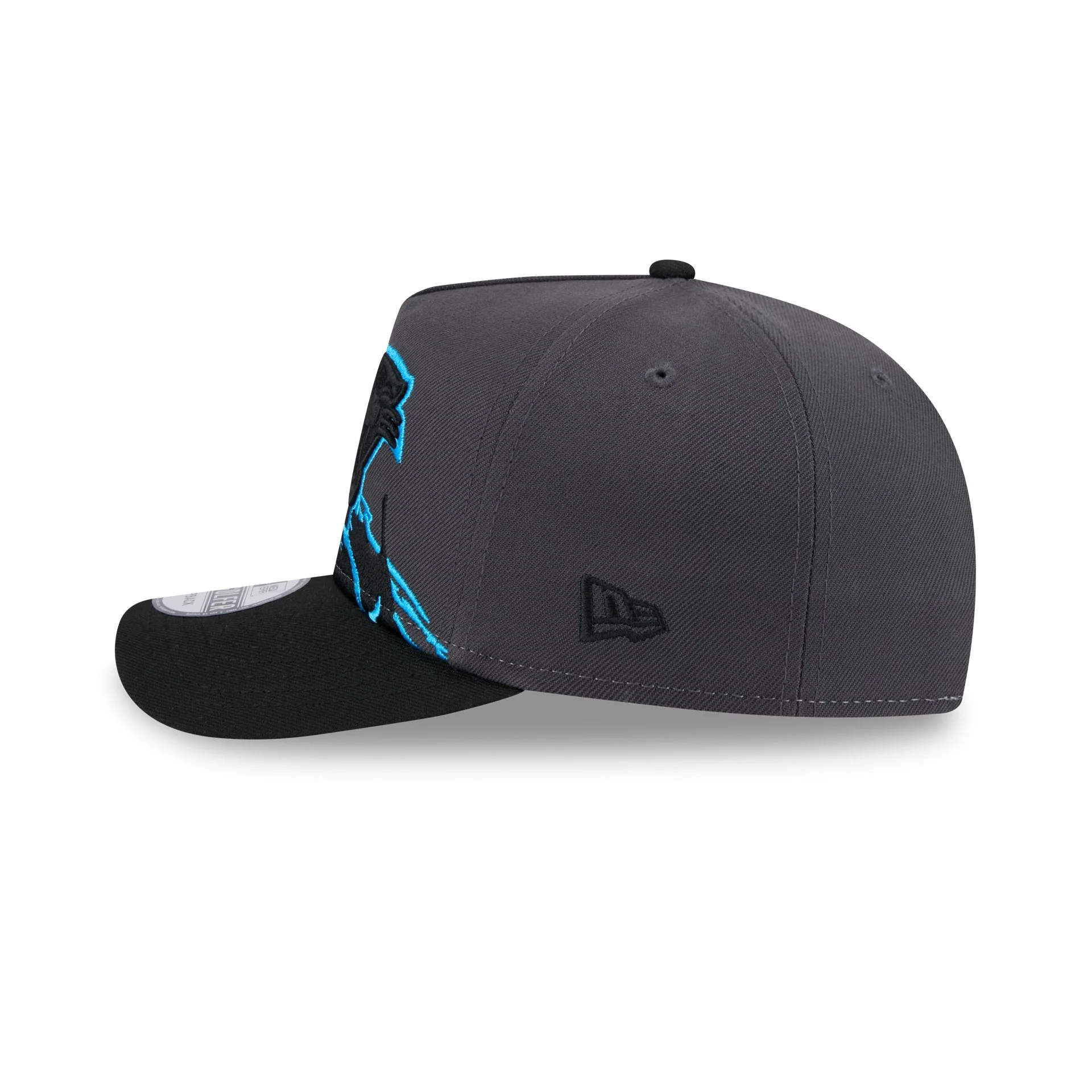 Carolina Panthers Graphite Brushstroke Golfer Hat