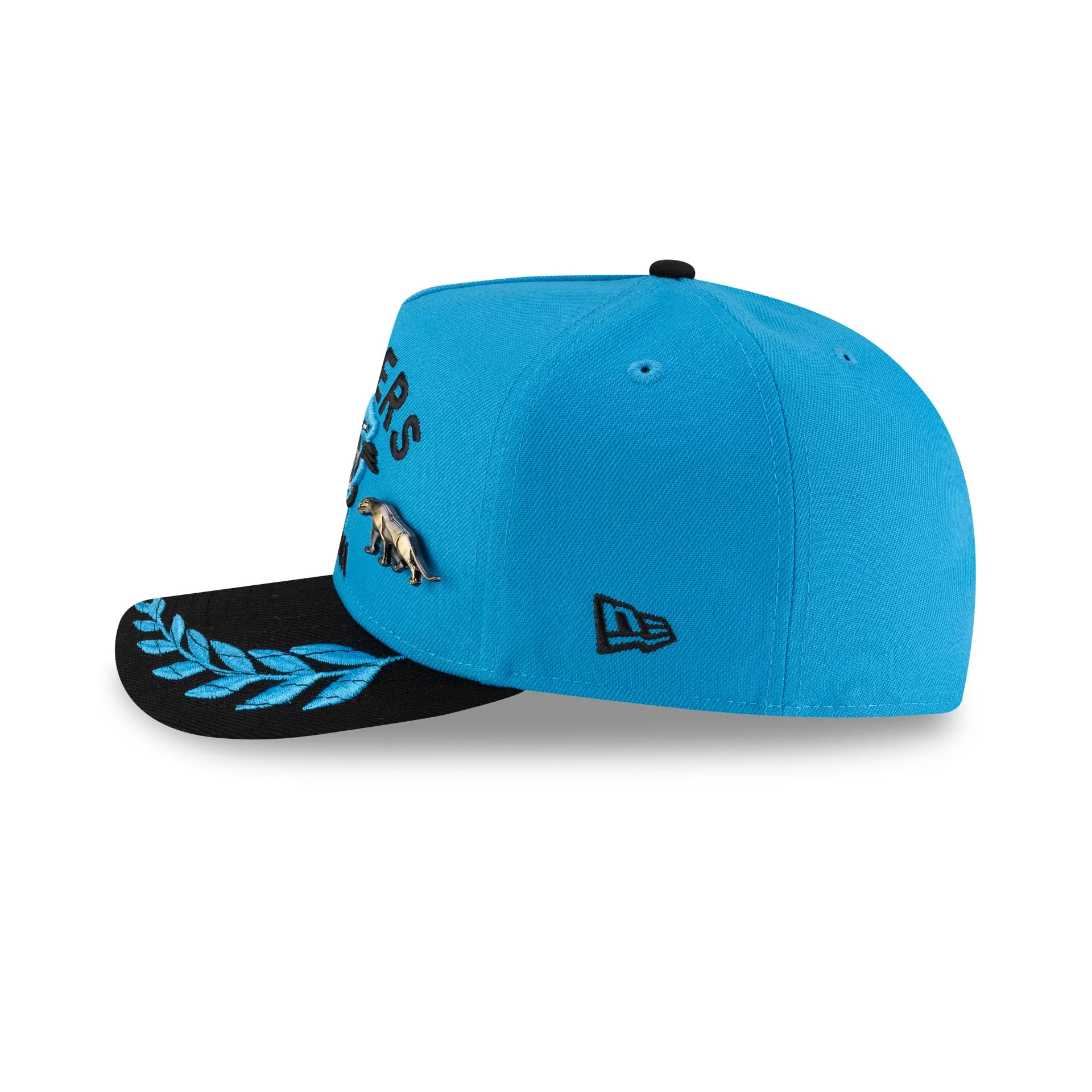 Carolina Panthers 2025 Draft 59FIFTY A-Frame Fitted Hat