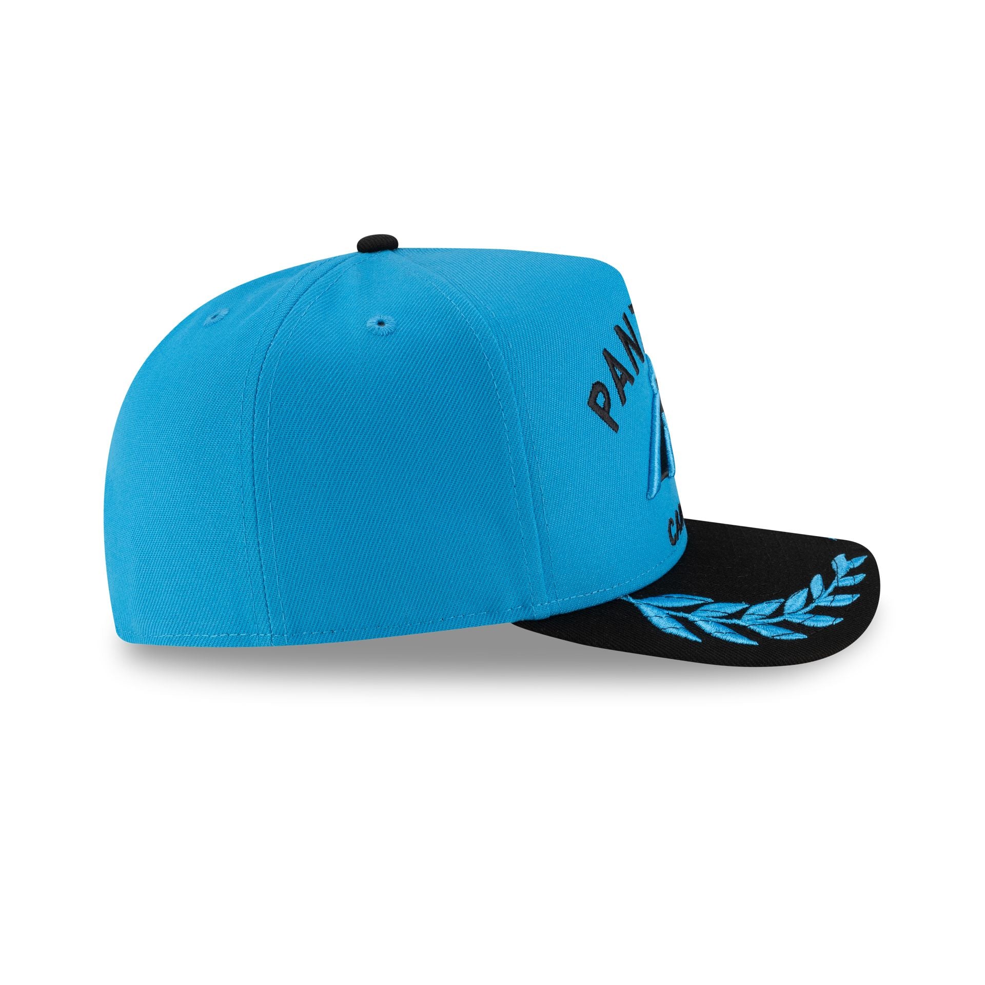 Carolina Panthers 2025 Draft 59FIFTY A-Frame Fitted Hat
