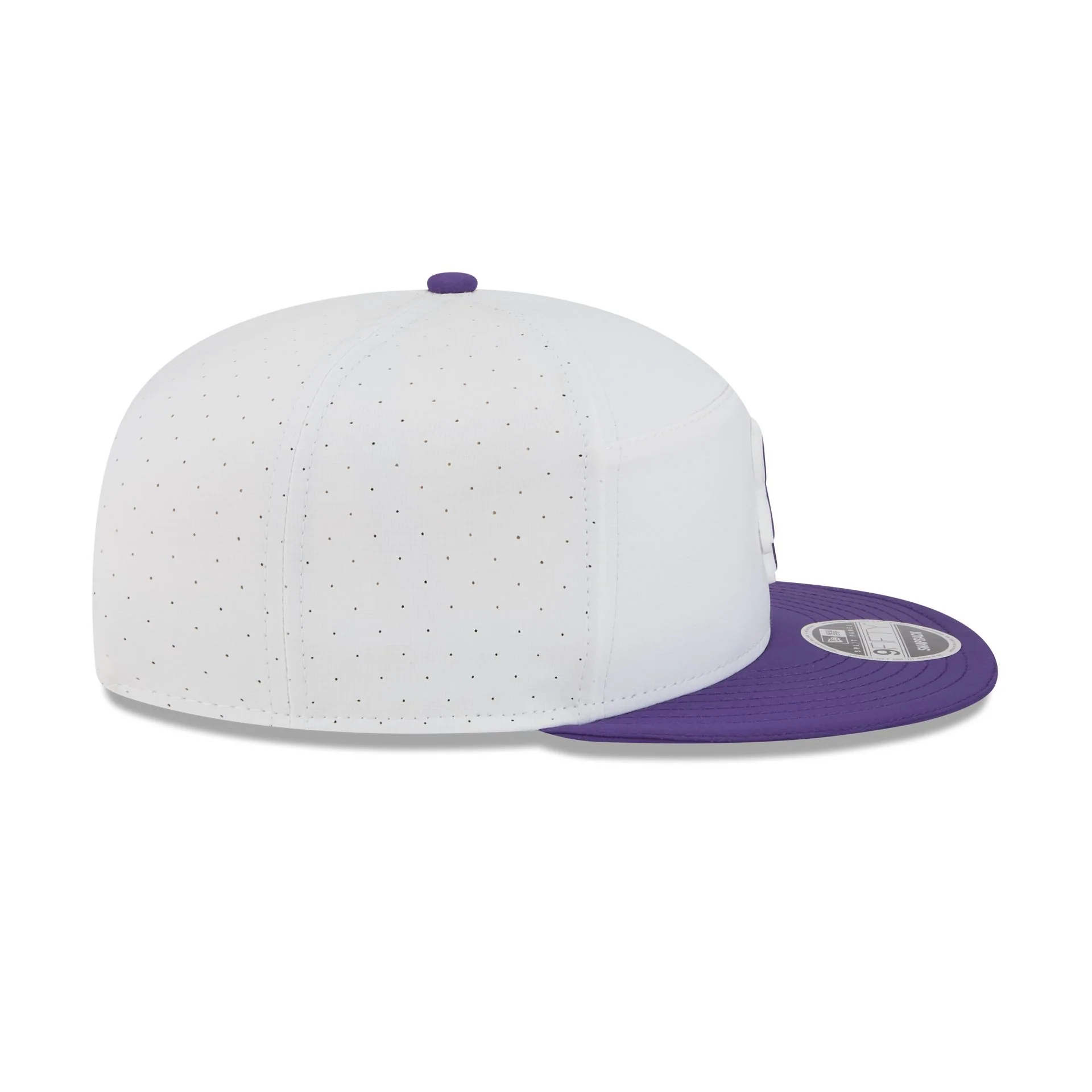 Minnesota Vikings 2025 Training Split Panel 9FIFTY Snapback Hat