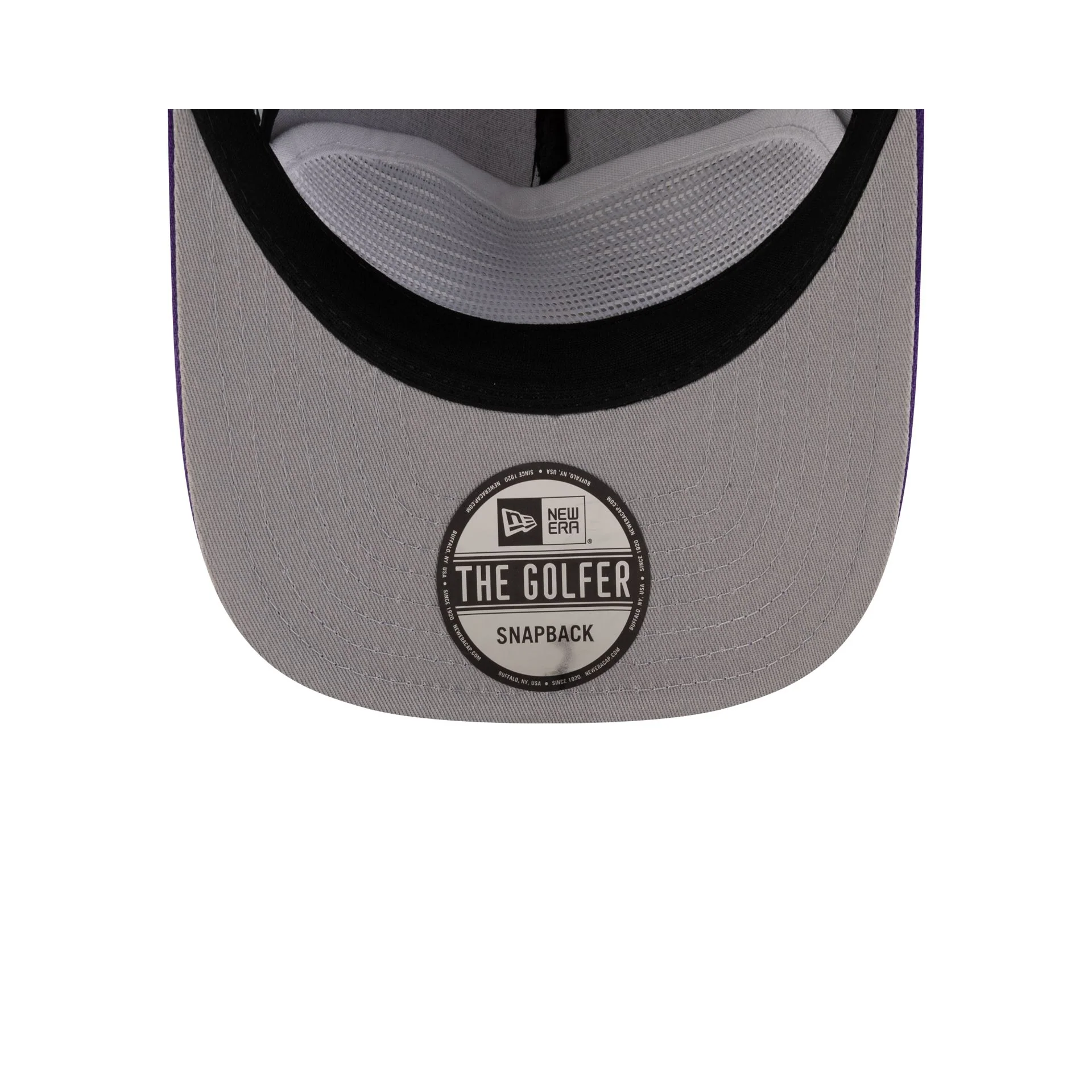 Minnesota Vikings 2025 Draft Golfer Hat