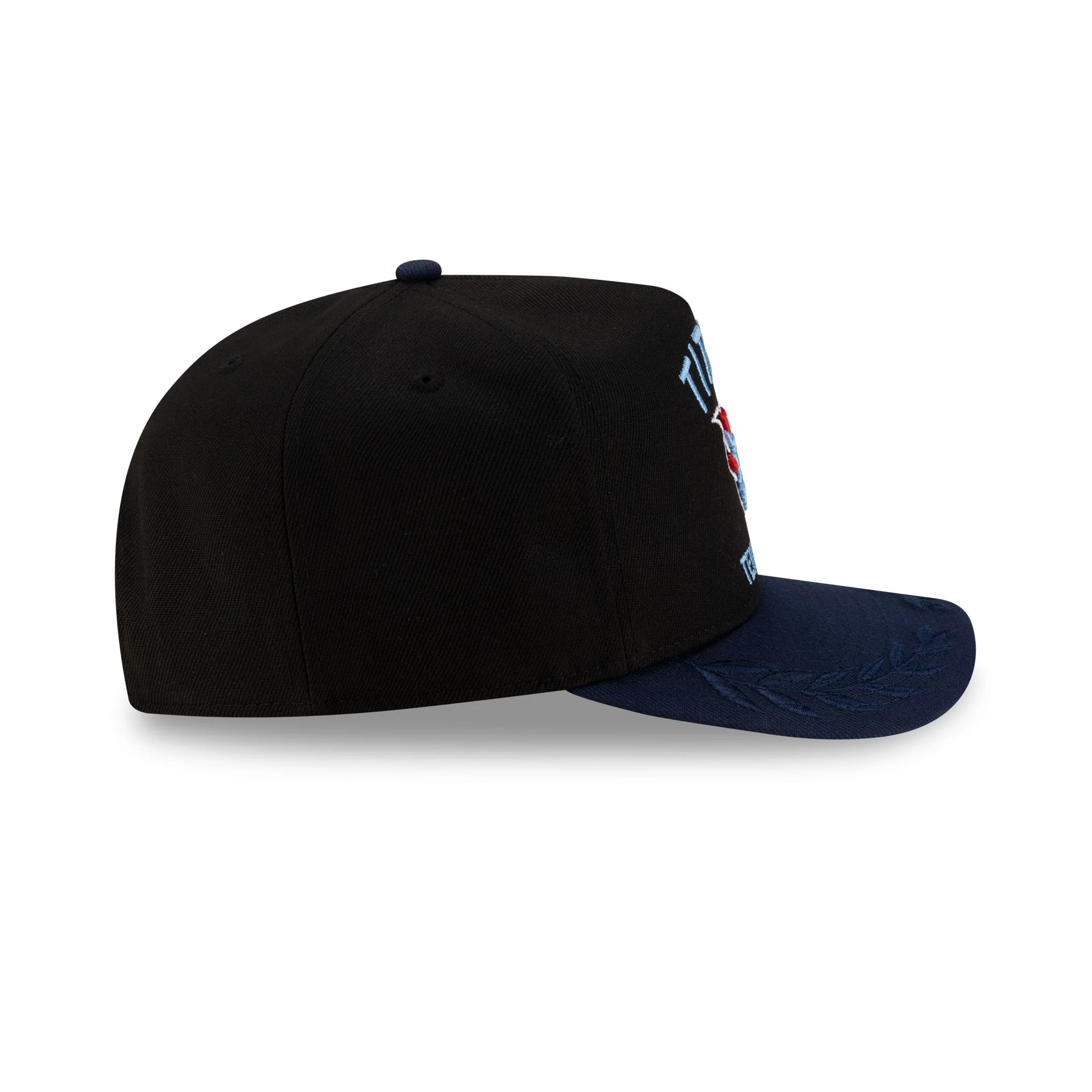 Tennessee Titans 2025 Draft Golfer Hat
