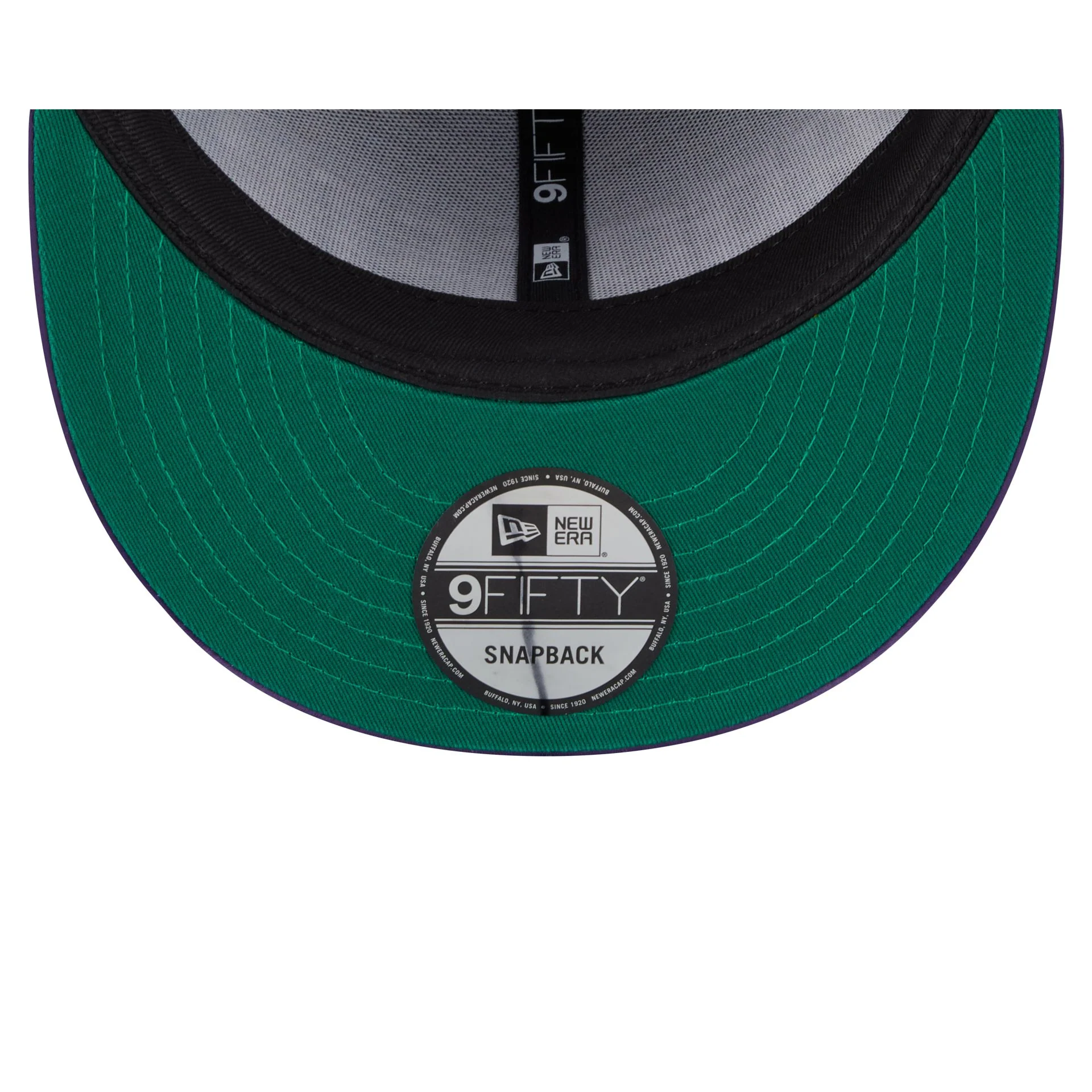 Charlotte Hornets Satin Pin 9FIFTY Snapback Hat