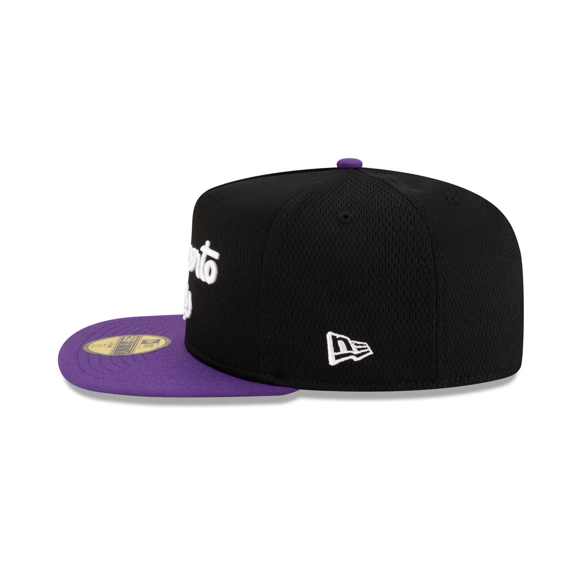 Sacramento Kings Dashmark Mesh 59FIFTY A-Frame Fitted Hat