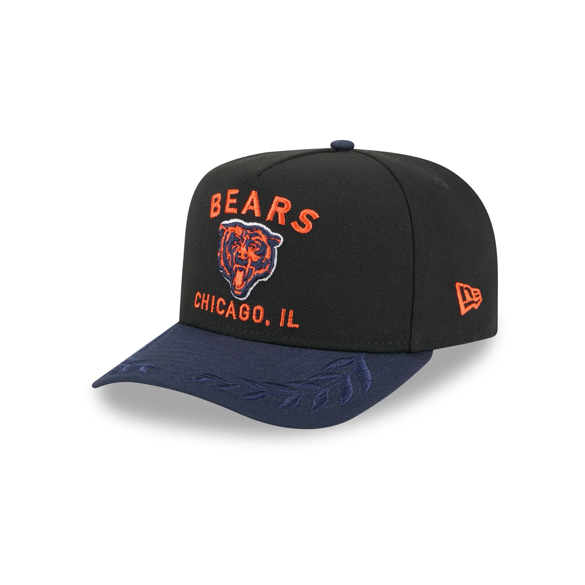 Chicago Bears 2025 Draft 9FIFTY A-Frame Snapback Hat