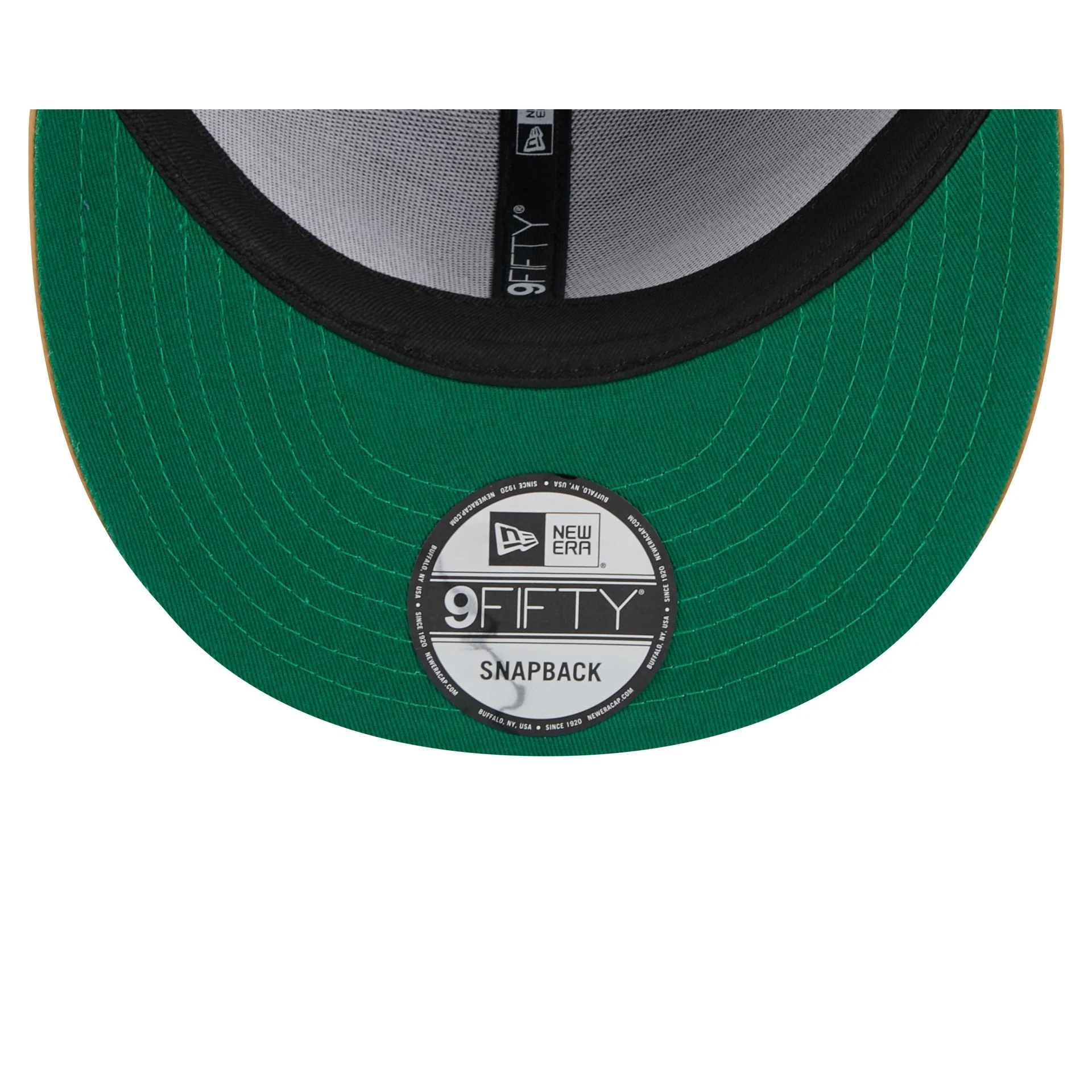 Cleveland Cavaliers Satin Pin 9FIFTY Snapback Hat