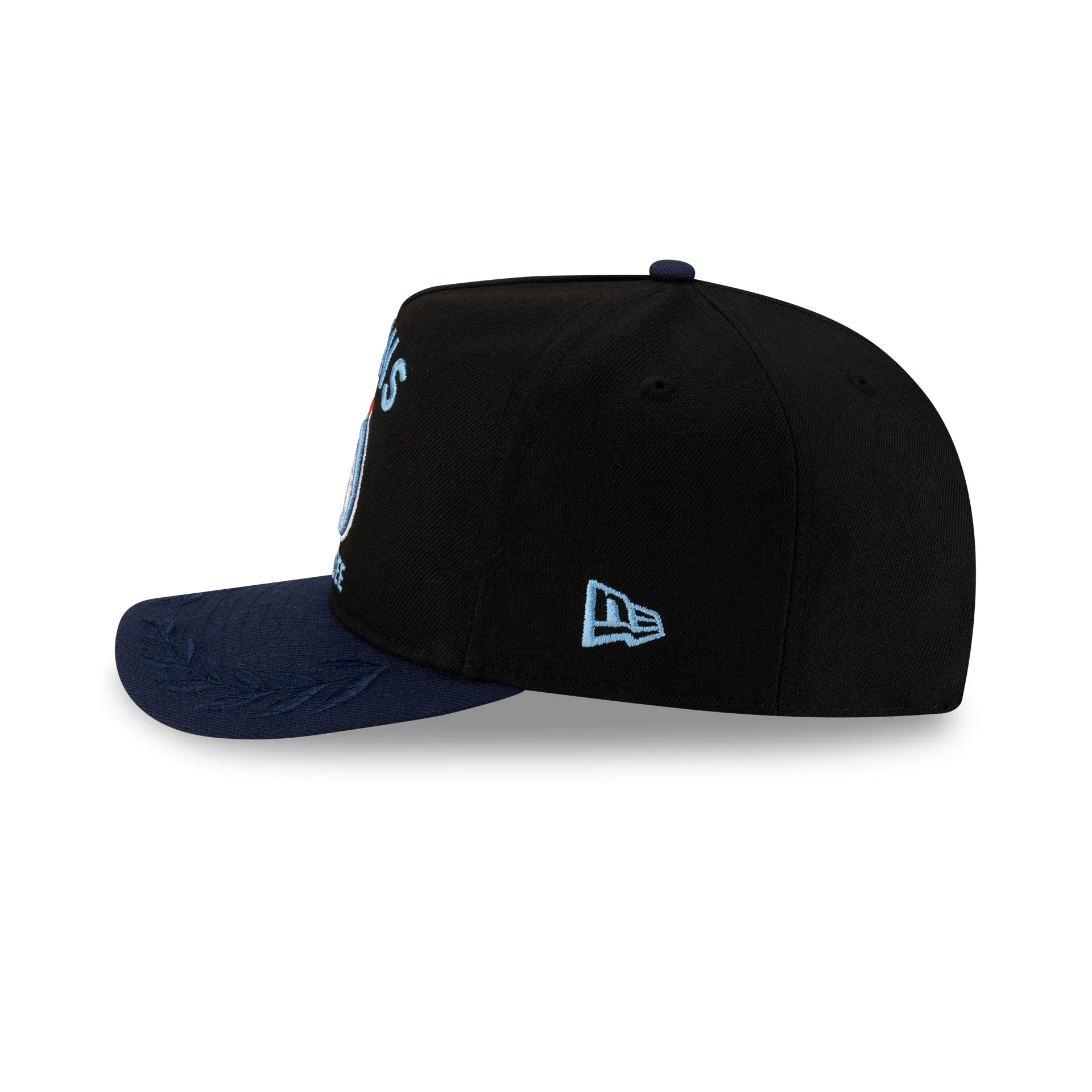 Tennessee Titans 2025 Draft Golfer Hat