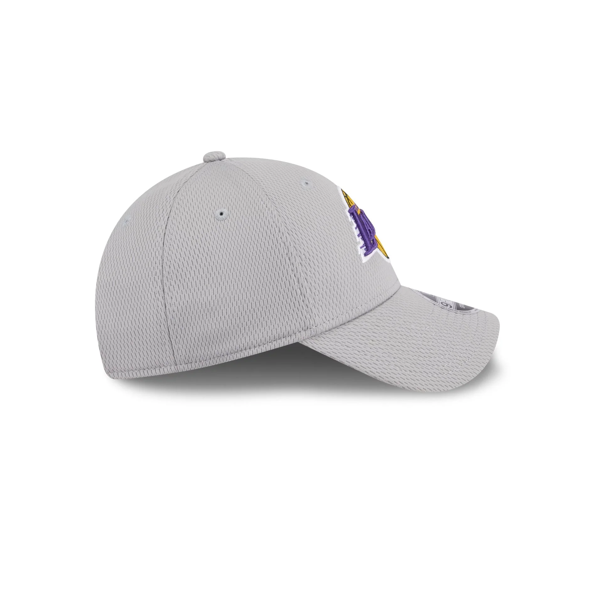 Los Angeles Lakers Gray 9FORTY Stretch-Snap Hat