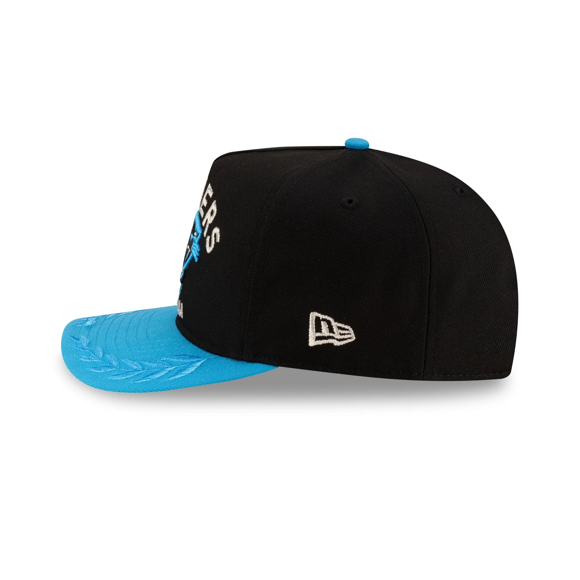 Carolina Panthers 2025 Draft Golfer Hat
