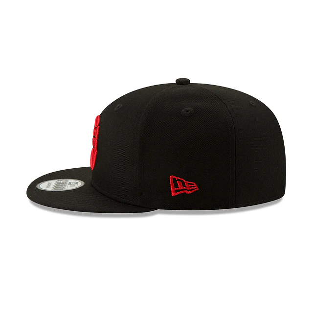 Toronto Raptors Basic 9FIFTY Snapback Hat