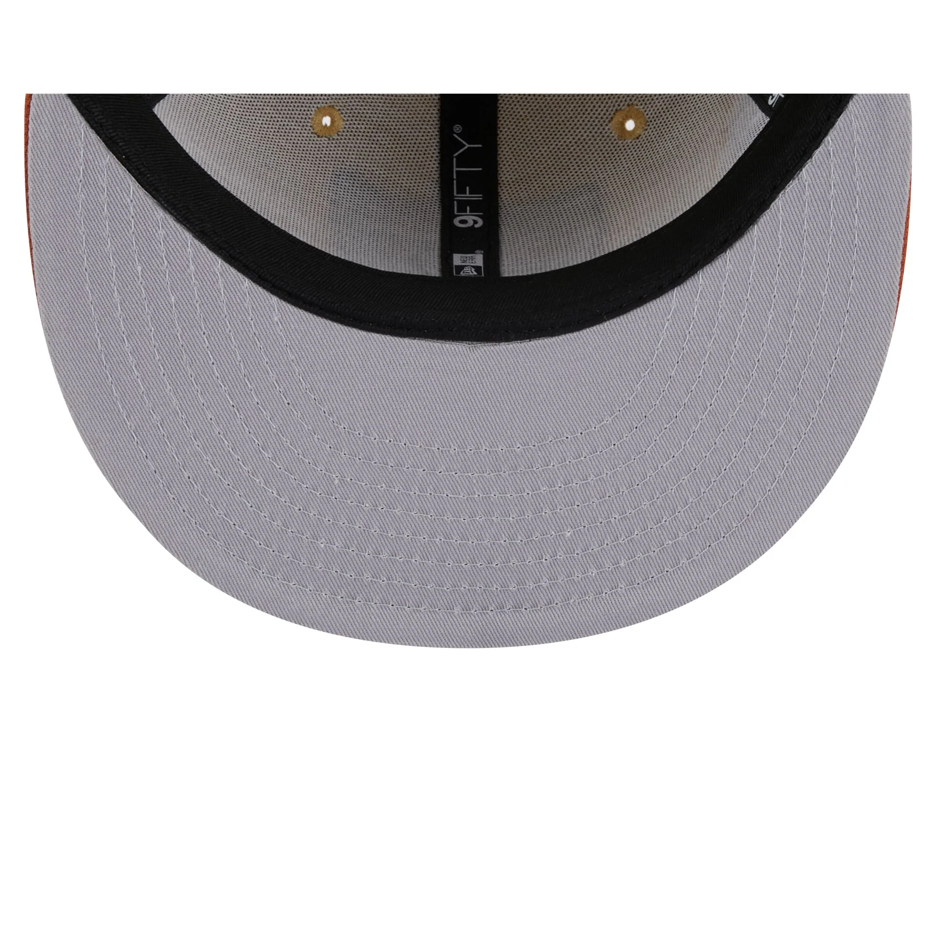 Las Vegas Raiders Fall Landscape 9FIFTY Snapback Hat