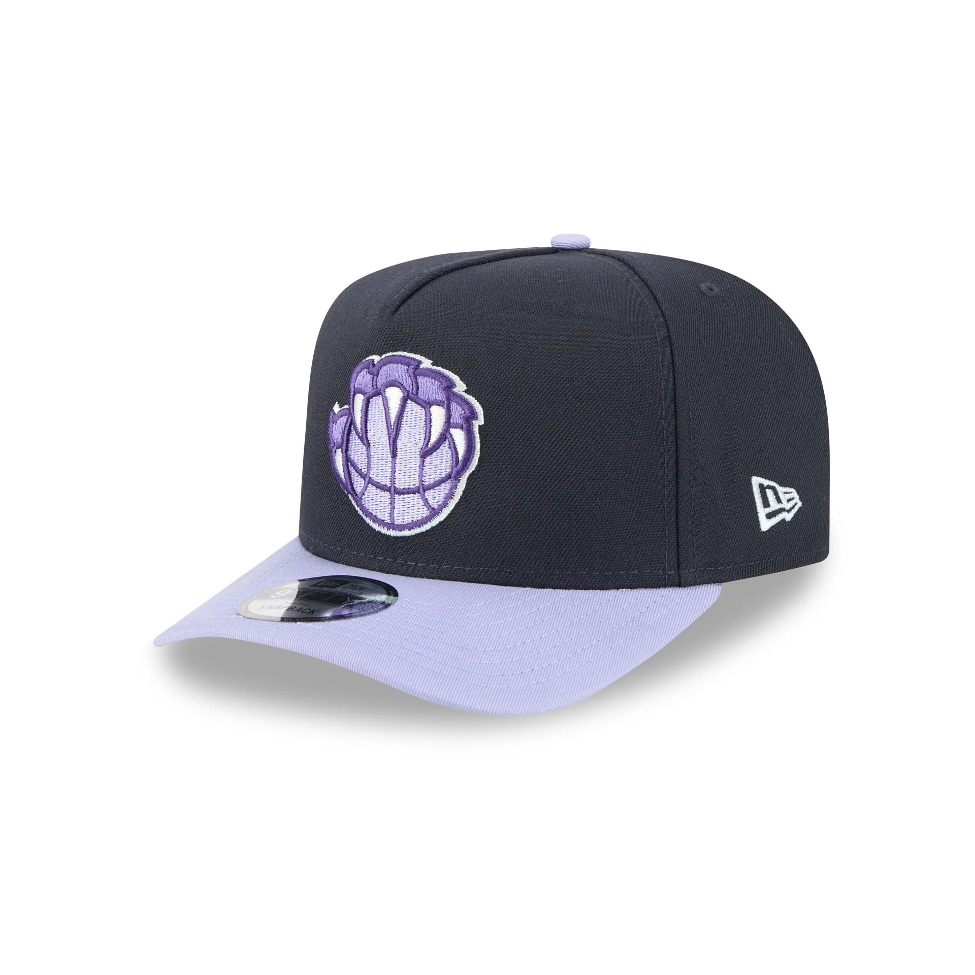 Memphis Grizzlies Navy Lavender 9FIFTY A-Frame Snapback Hat