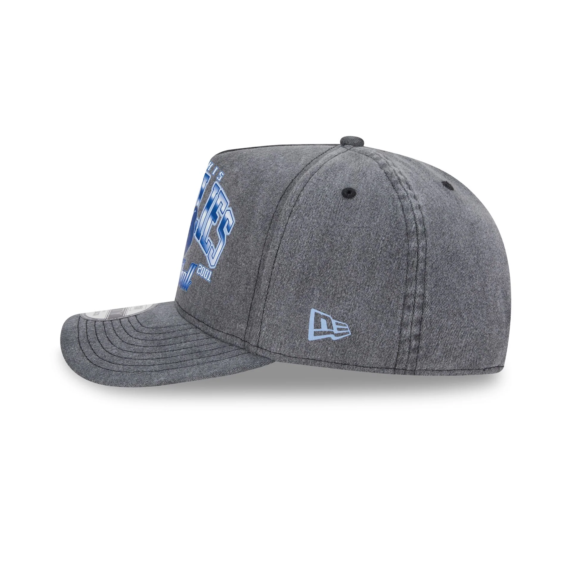 Memphis Grizzlies Washed 9FIFTY A-Frame Snapback Hat