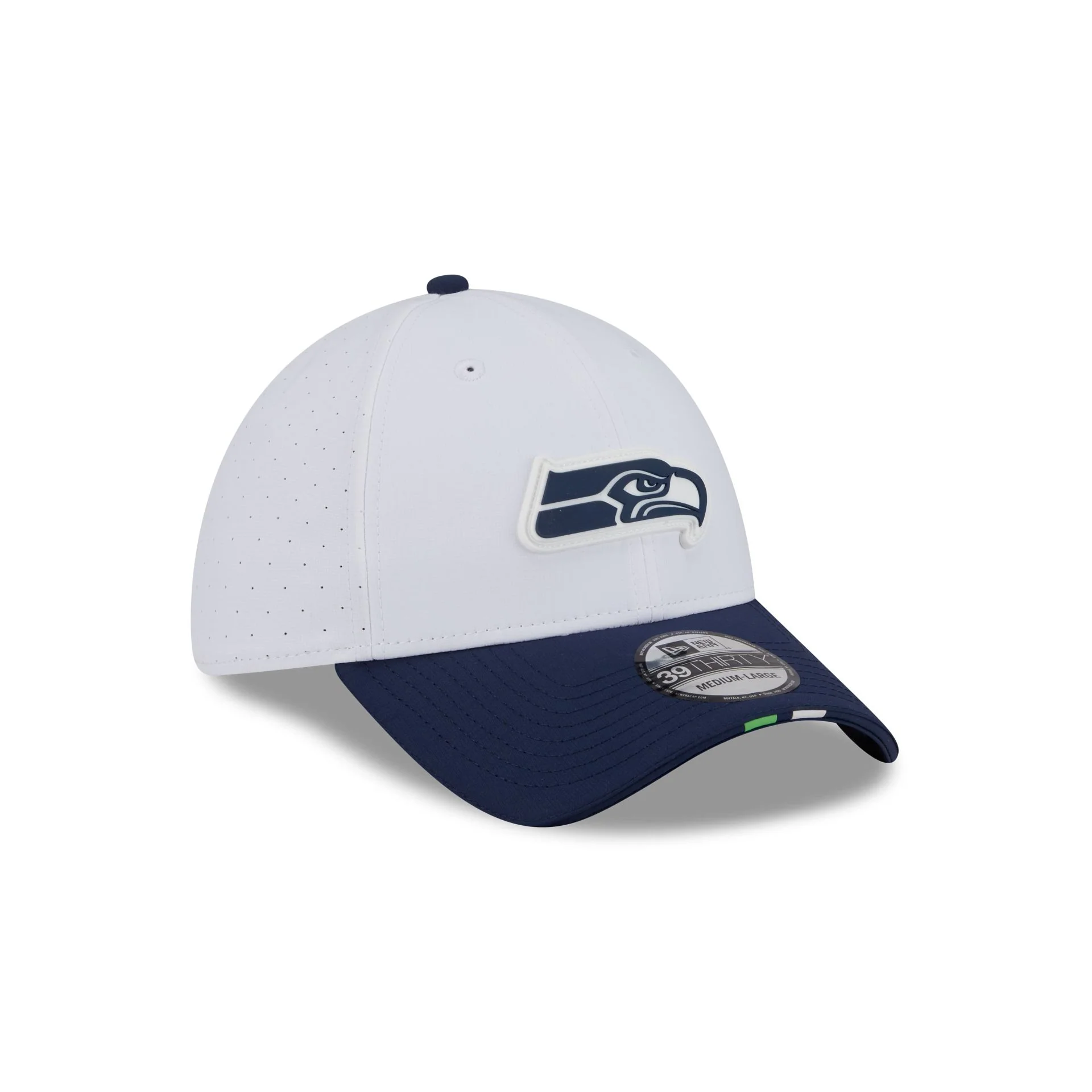Seattle Seahawks 2025 Training 39THIRTY Stretch Fit Hat