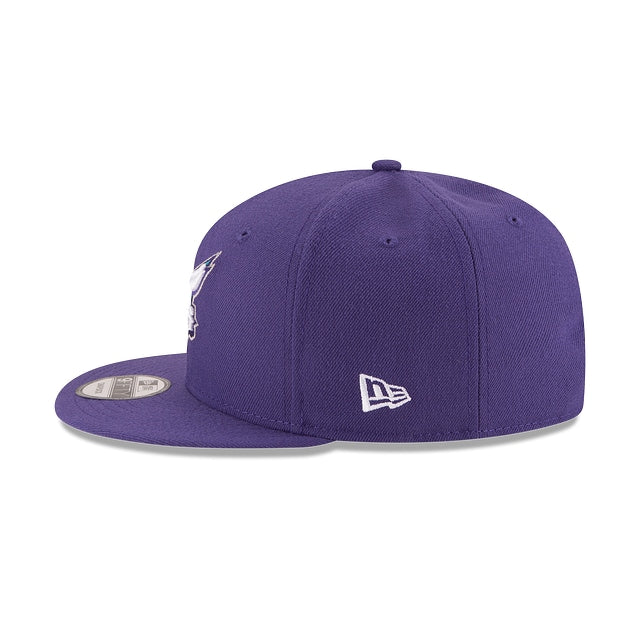 Charlotte Hornets Basic 9FIFTY Snapback Hat
