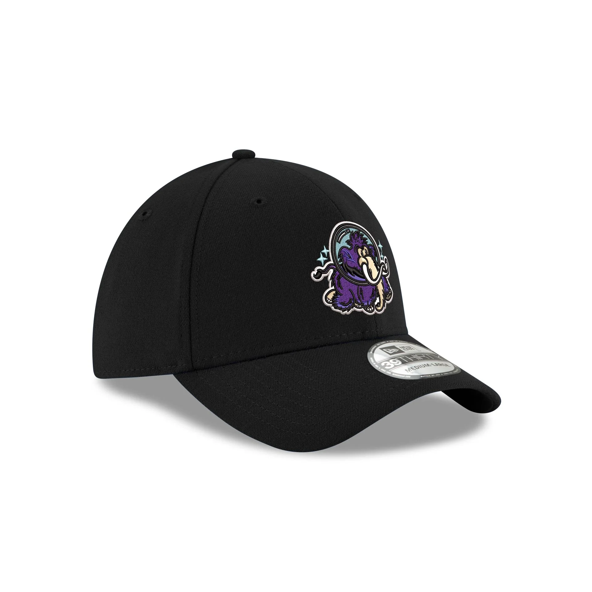 Erie Moon Mammoths 39THIRTY Stretch Fit Hat