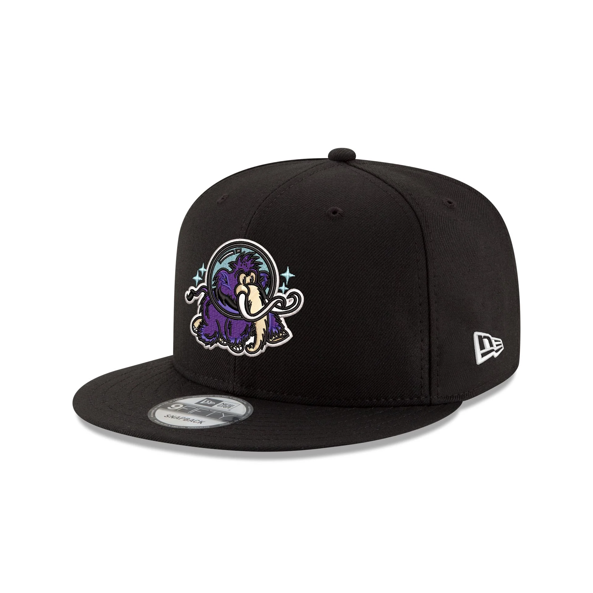 Erie Moon Mammoths 9FIFTY Snapback Hat