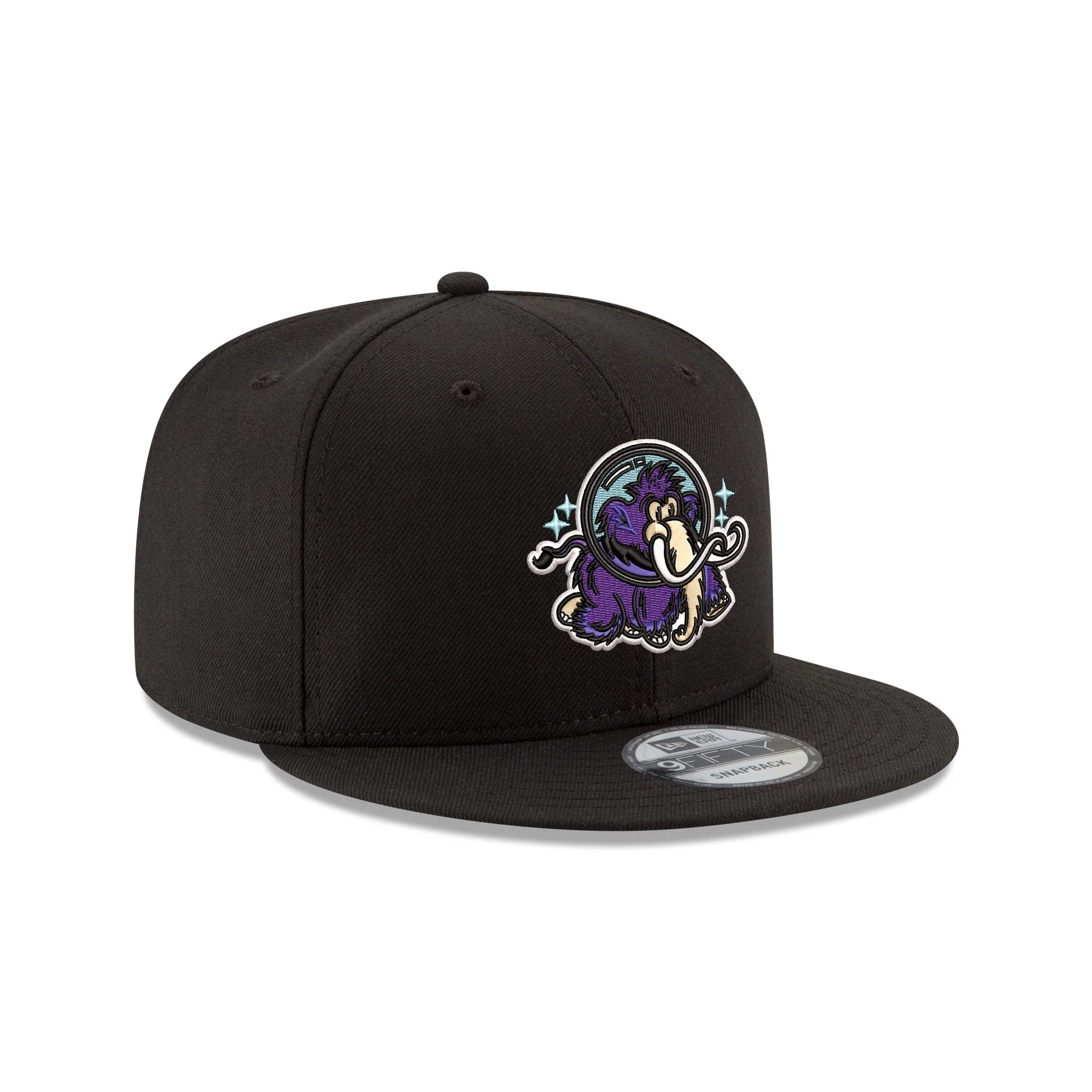 Erie Moon Mammoths 9FIFTY Snapback Hat