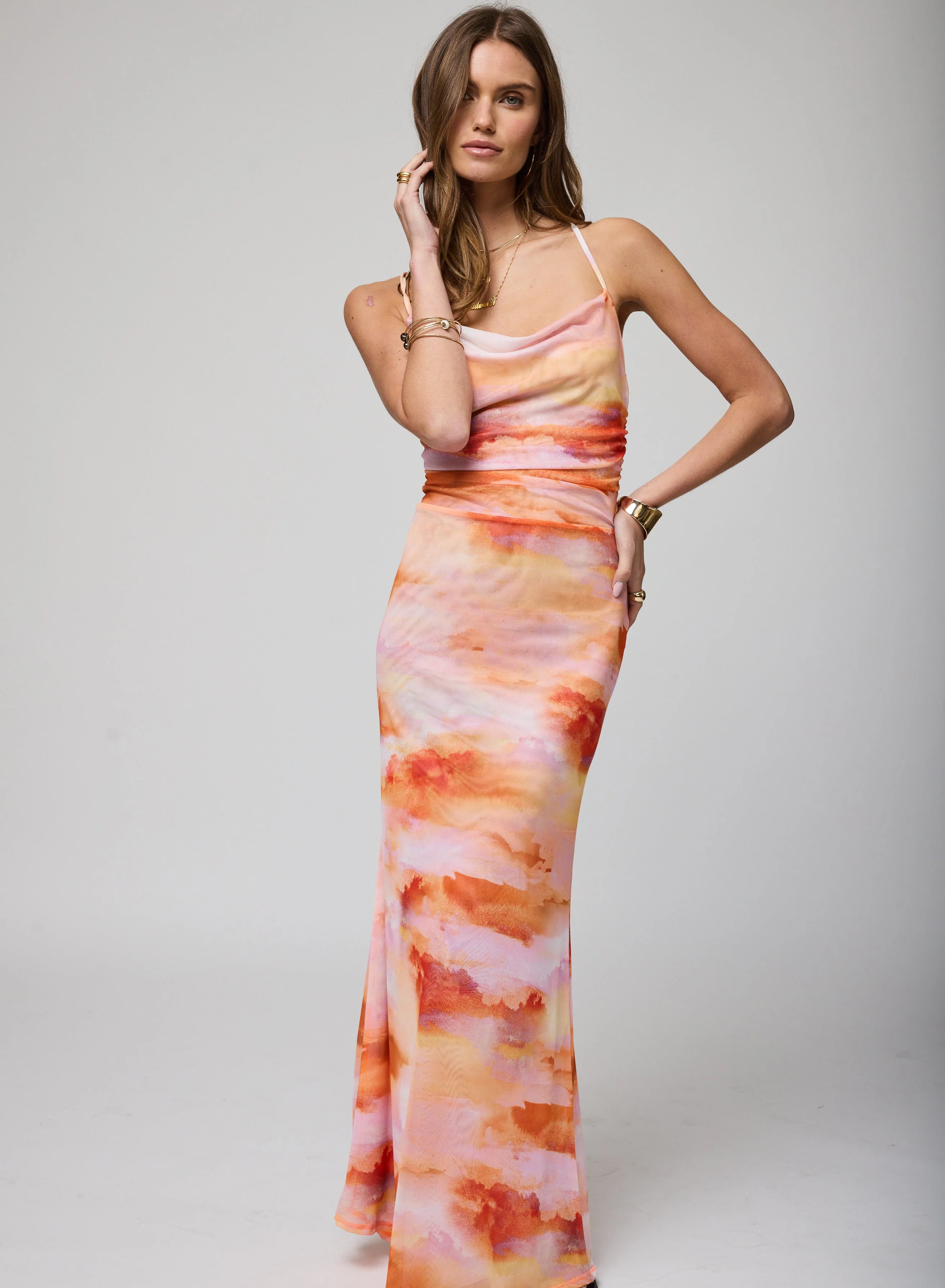 The Siren Song Mesh Maxi Dress