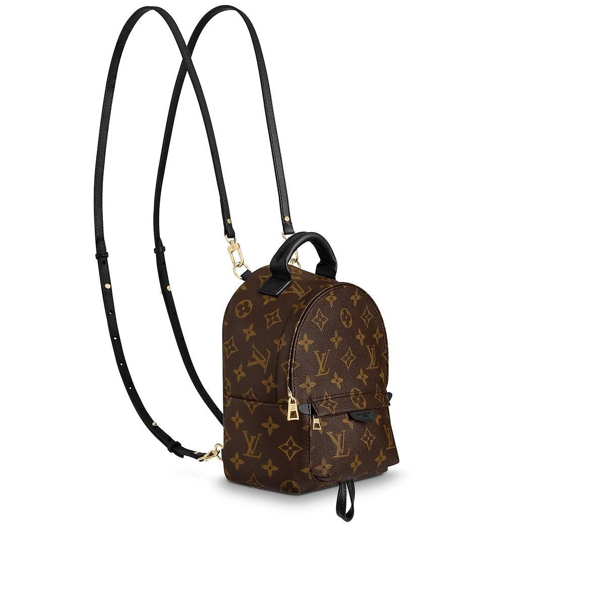 Louis Vuitton Palm Springs Mini M41562 - FrasersFashion