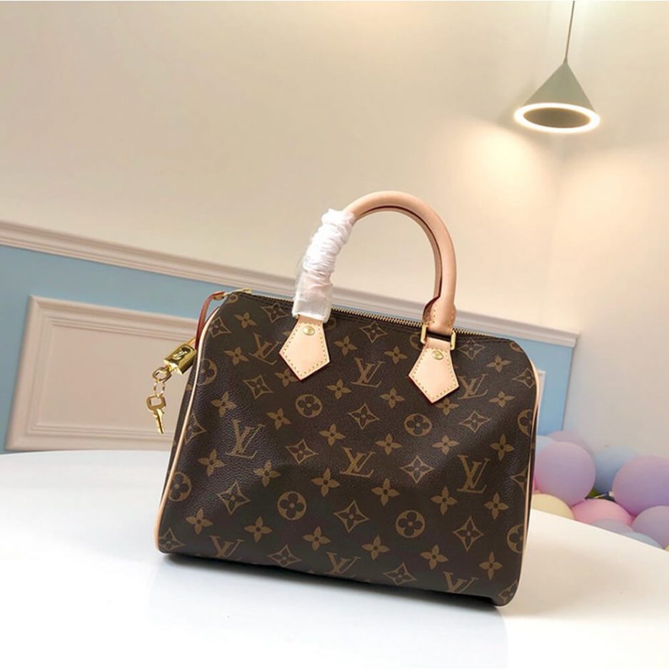 LOUIS VUITTON SPEEDY 25 M41109 - FrasersFashion