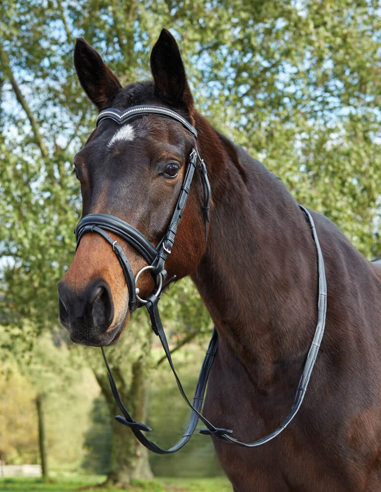 Deep V Crystal Flash Bridle